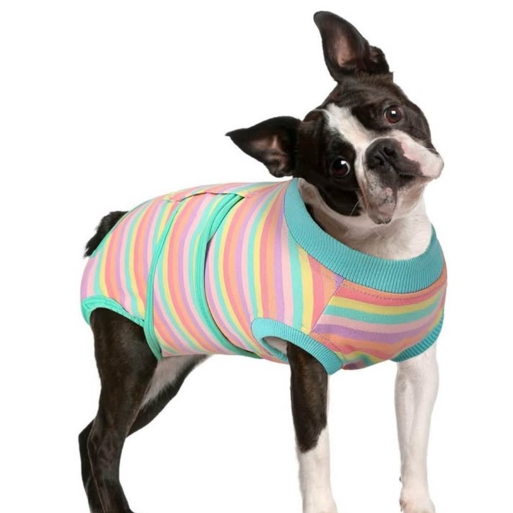 Vibrant Striped Dog recovery suit